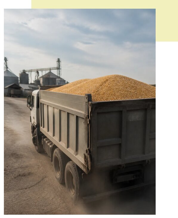 Перевозка сельхозпродукции навалом в Красноуфимск по цене от 3047 р. | Агросервис-Крф